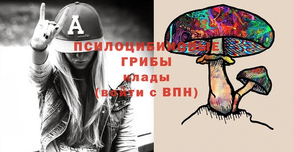 соль курить ск Алексеевка